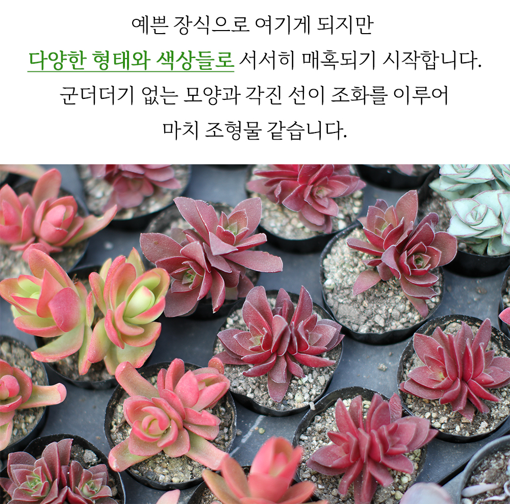 part1_21.jpg