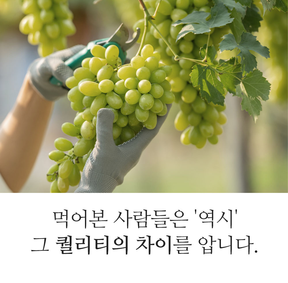 240312_wine10-4.jpg