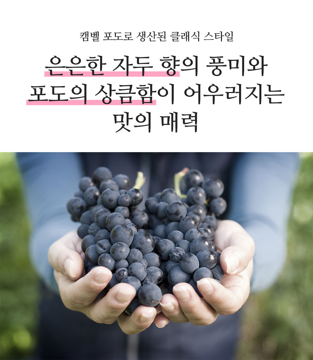 240312_wine7-3.jpg