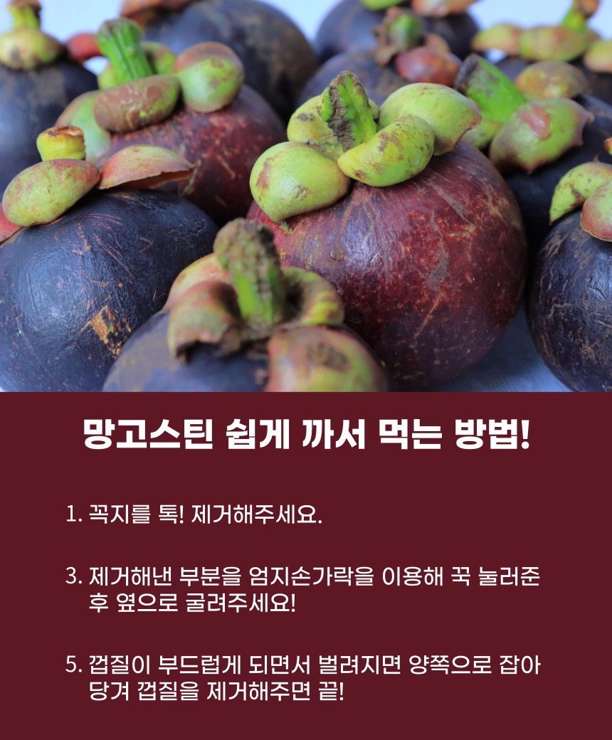 망고스틴-최신-017.jpg