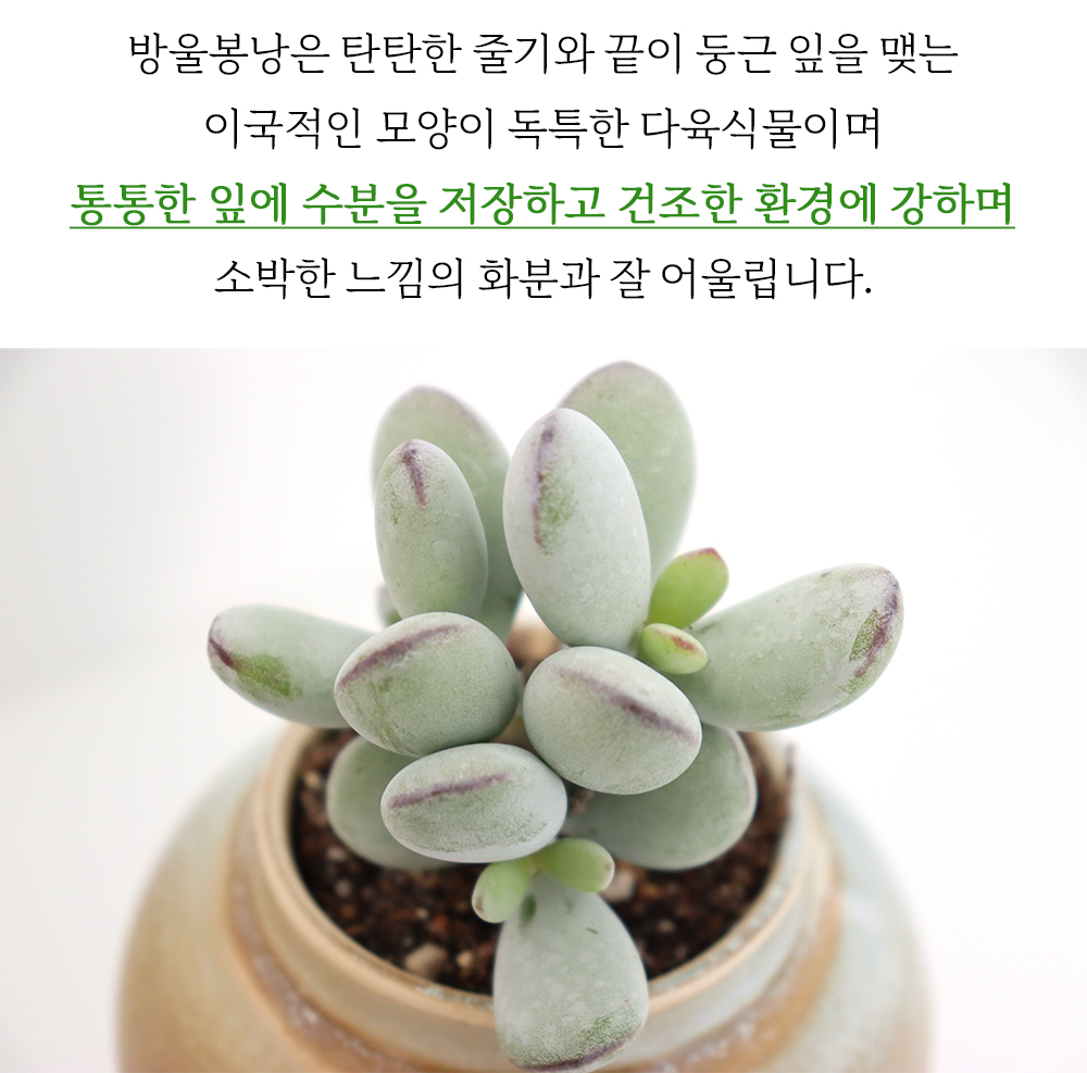 part1_29.jpg