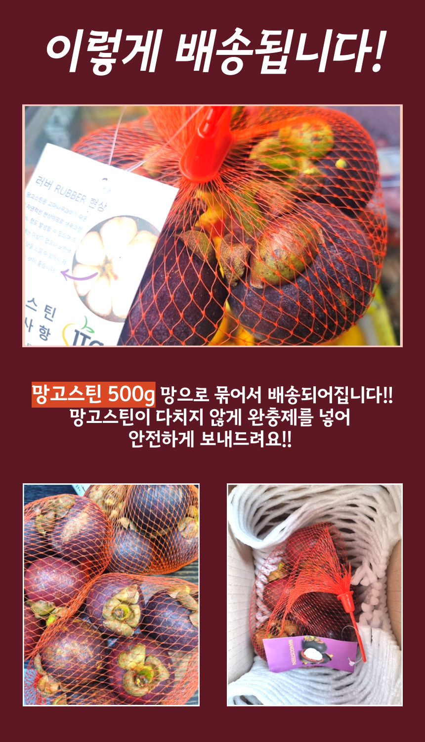 망고스틴-최신-016.jpg