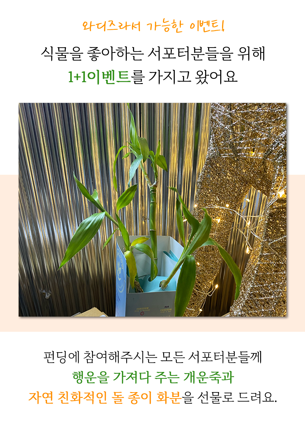 part2_02.jpg