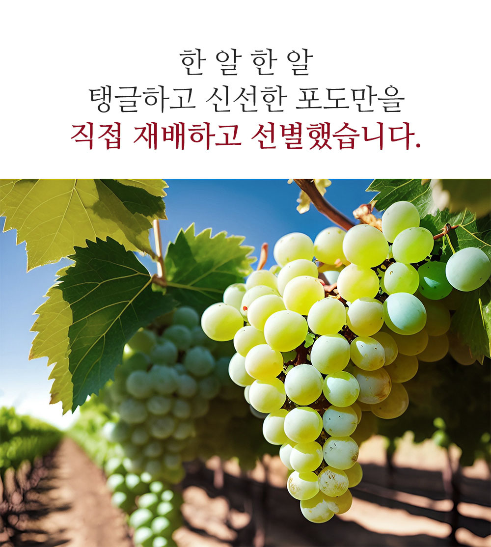 240312_wine8-7.jpg