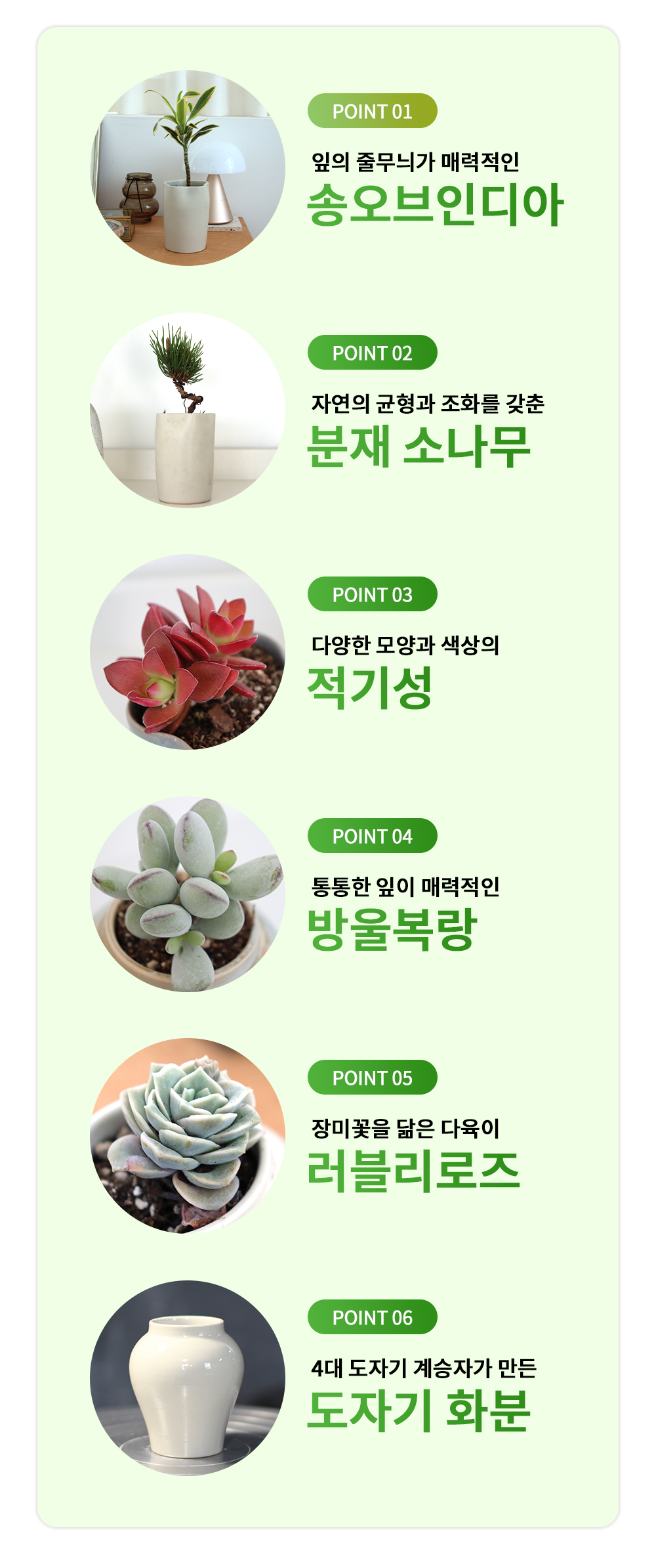 캣그로-추가내용_23.jpg