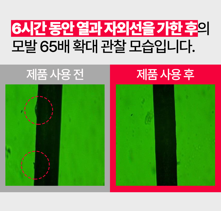 베니스의상인_한여름밤의꿈-12.jpg
