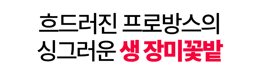베니스의상인_한여름밤의꿈-73.jpg