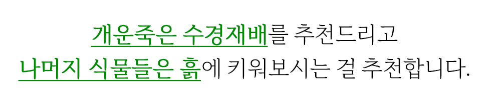 캣그로-추가내용_28.jpg