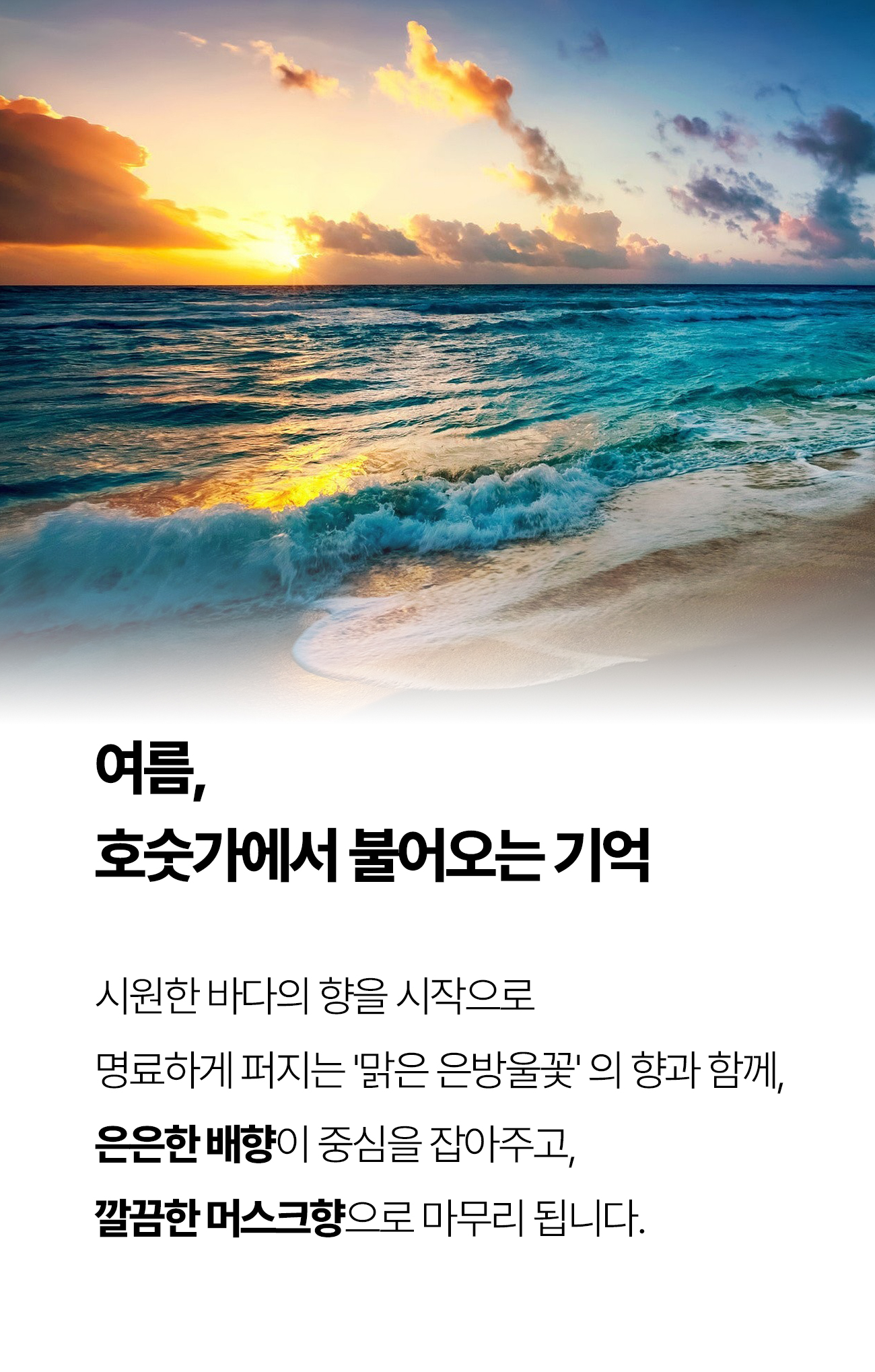 앤디랩_캡슐퍼퓸_25-2.jpg
