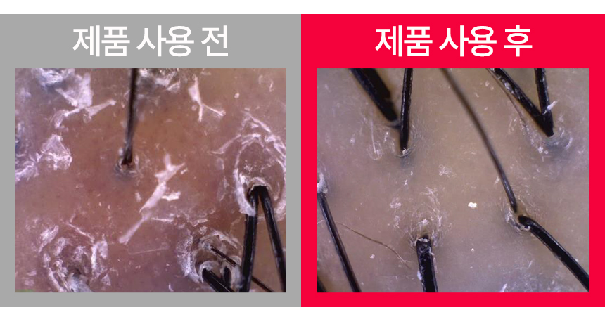 베니스의상인_한여름밤의꿈-30-1.jpg