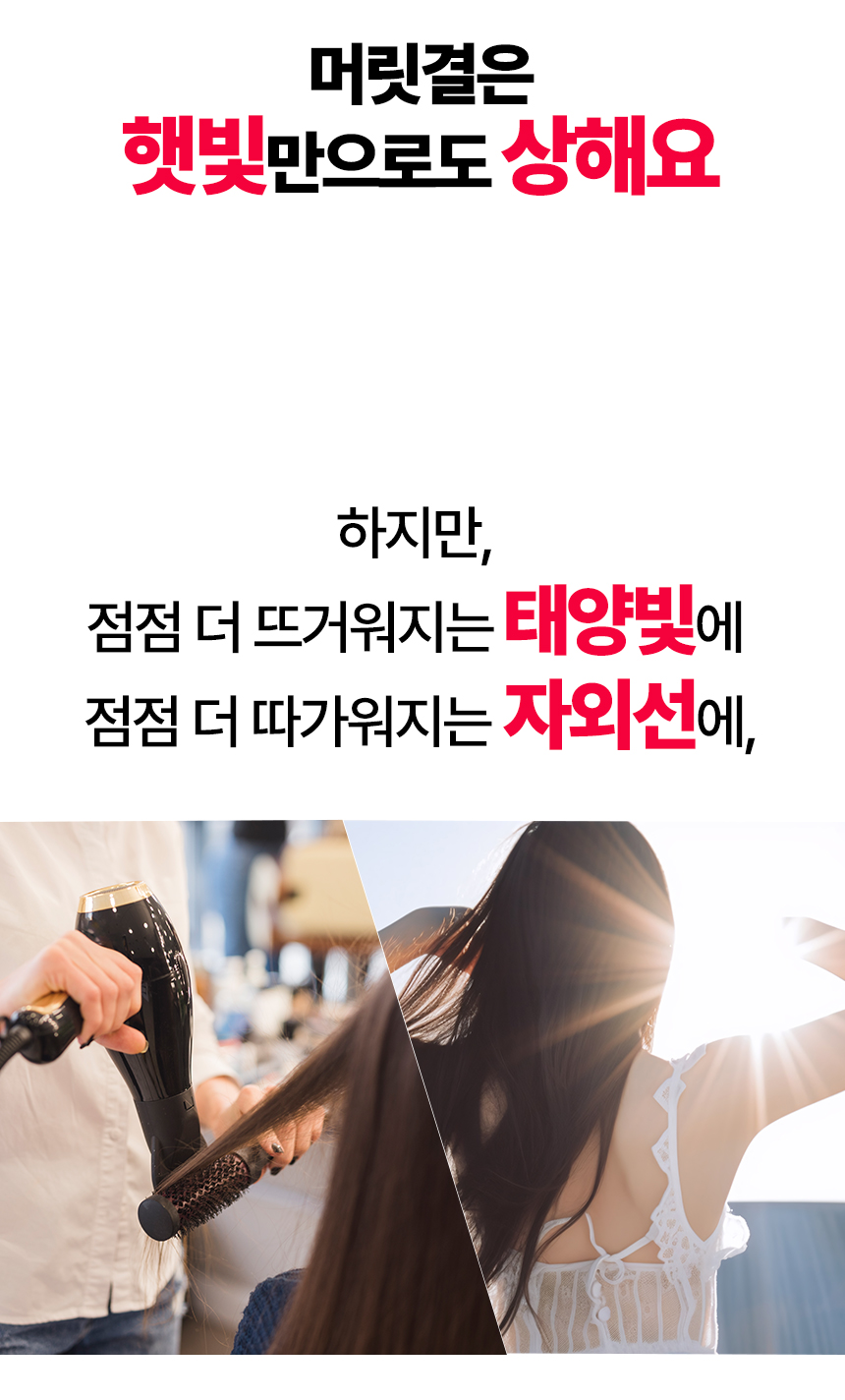 베니스의상인_한여름밤의꿈-01-1.jpg