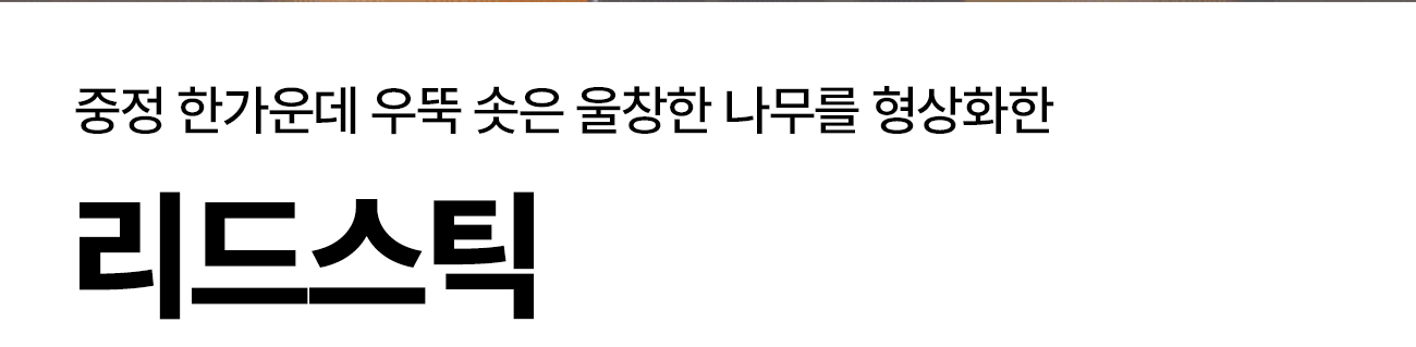 와디즈_불스원-3_08.jpg