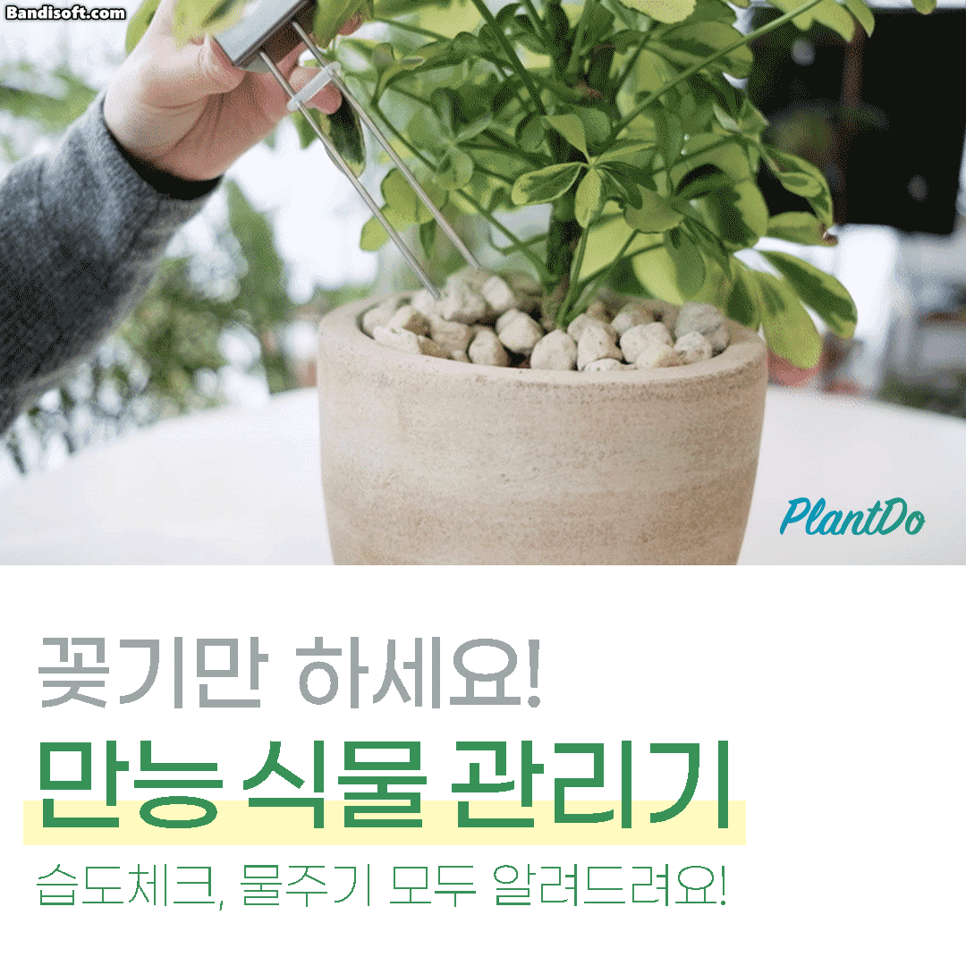 11_서론_제품 소개_GIF.gif