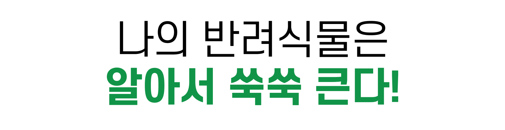 18_서론_제품 특징_4.jpg