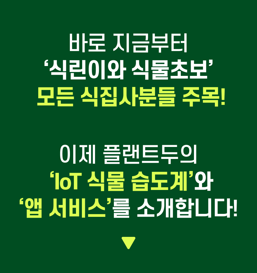 07_도입_연결 문구.jpg
