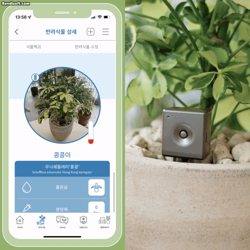 13_서론_제품 소개_GIF.gif