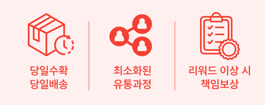 안내.png