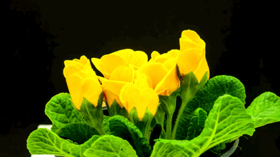 43d4134f-0a70-4900-a428-bddcb8e6e9f7.gif