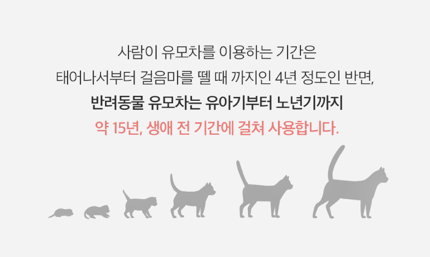 노년기_2.jpg