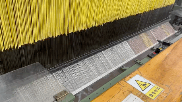 KakaoTalk_20240405_153448721.gif