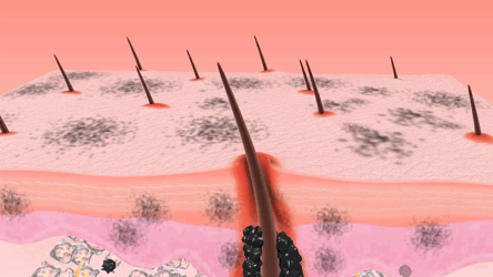 376b7e26-4575-40ee-bfed-9f721ab912b3.gif