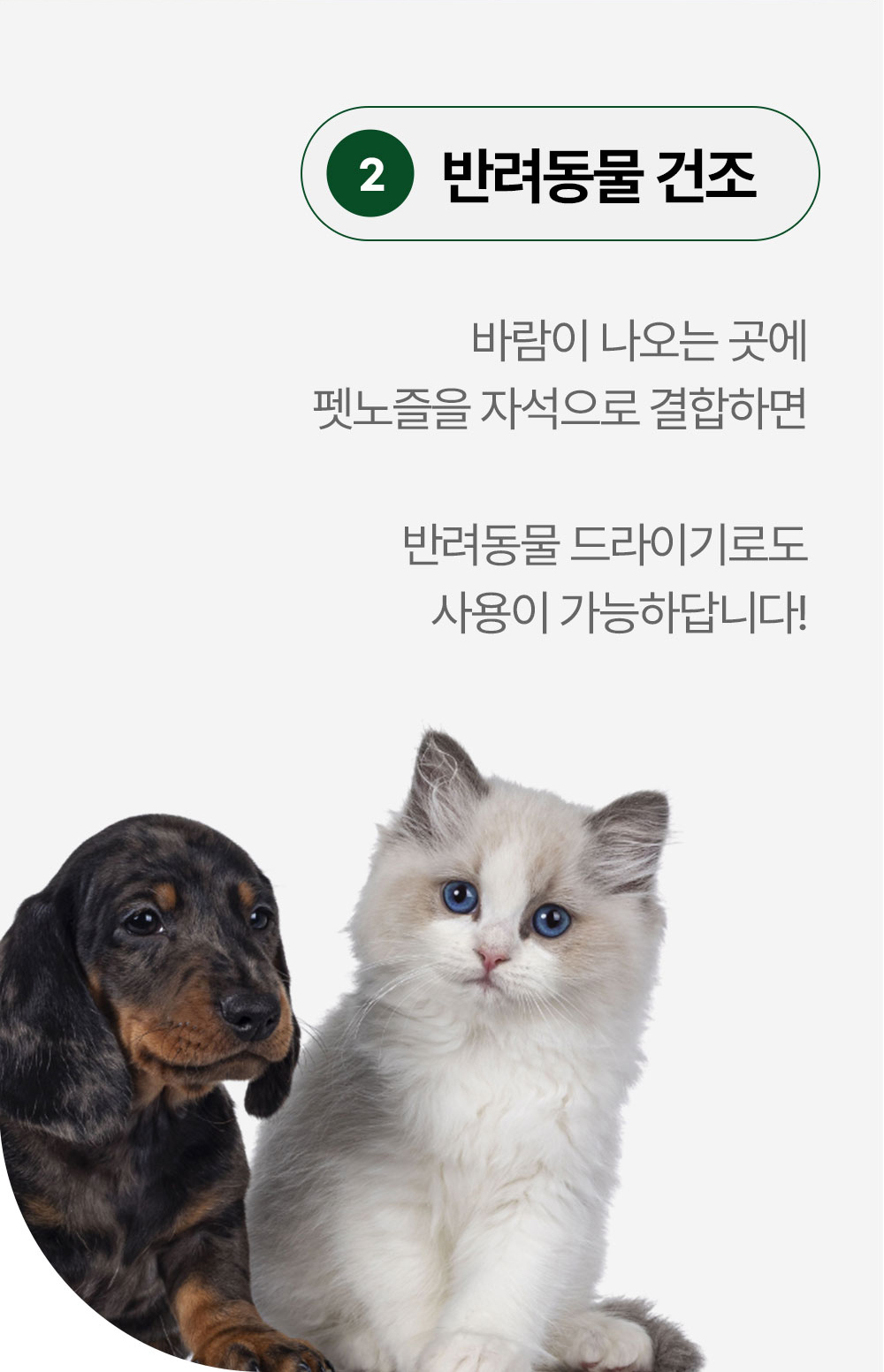 상페_바디드라이어(4)_6.jpg