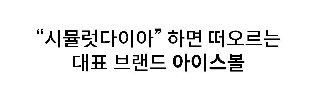 시뮬럿 대표브랜드.jpg