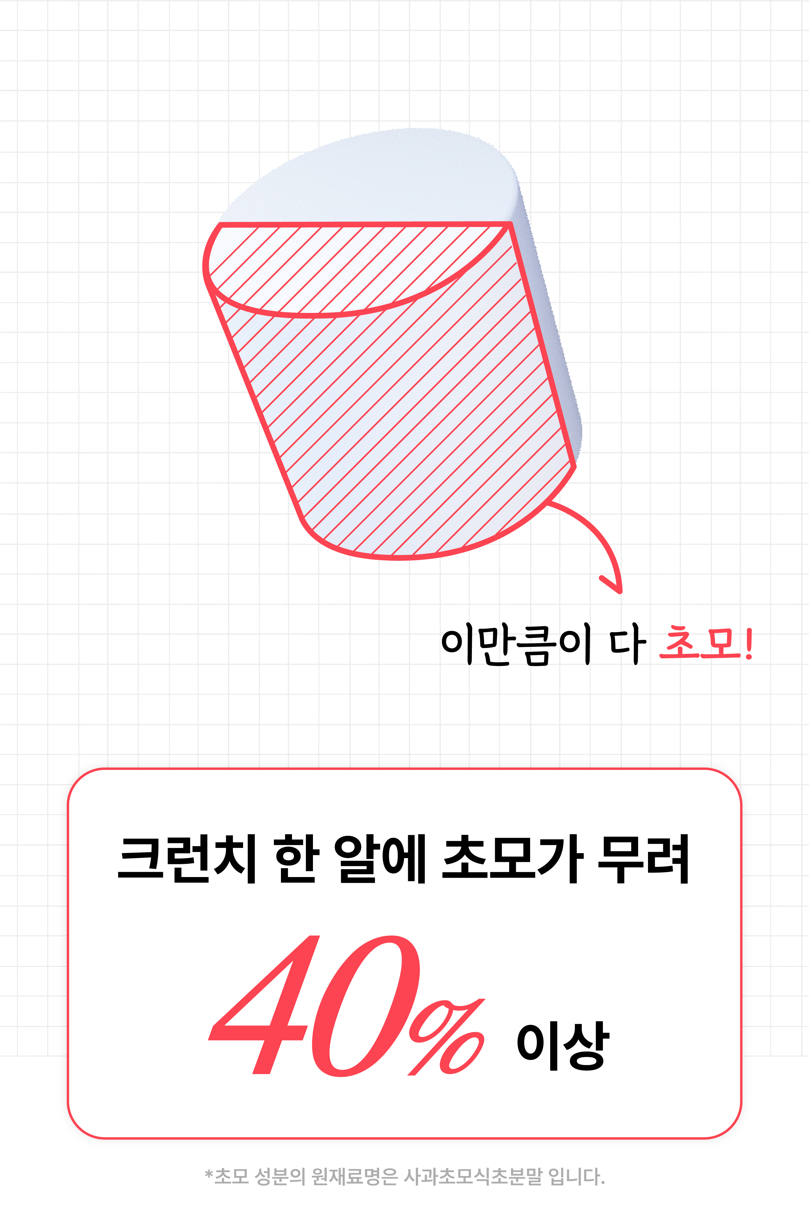 06.jpg