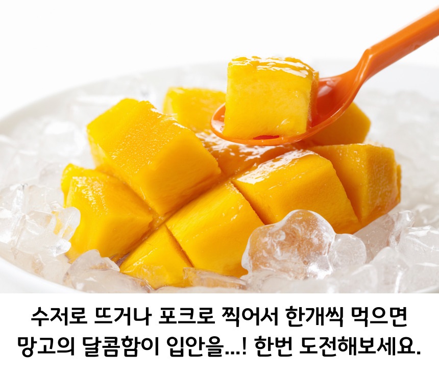 골드-망고-011.jpg