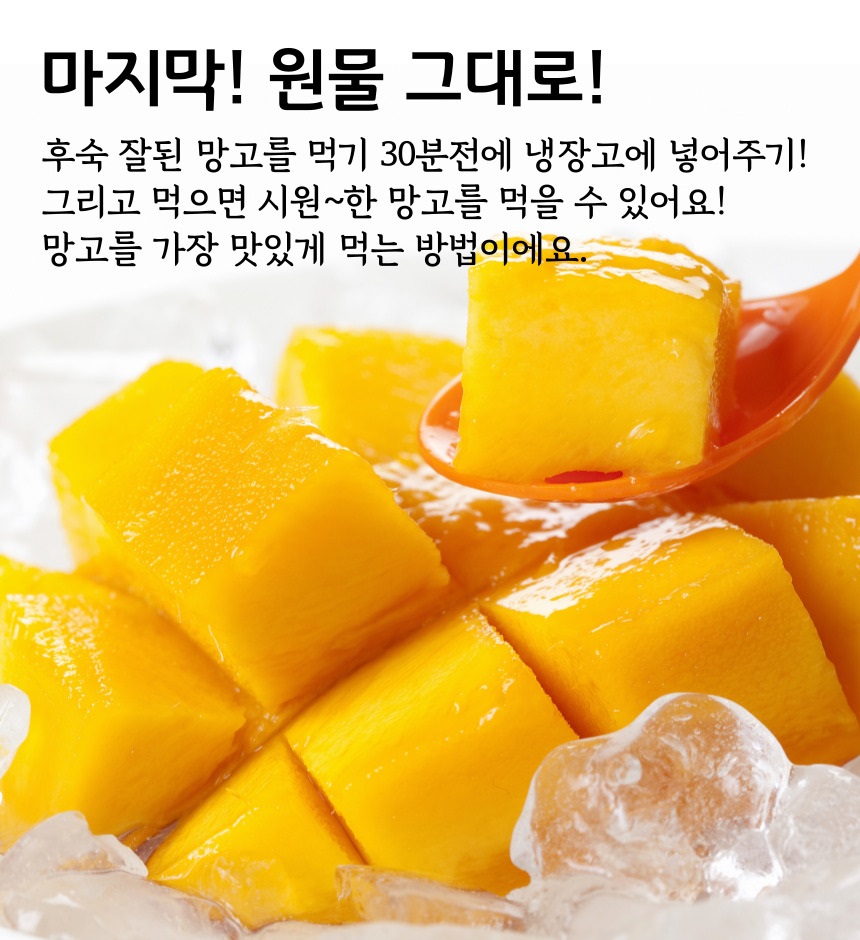 골드-망고-015.jpg