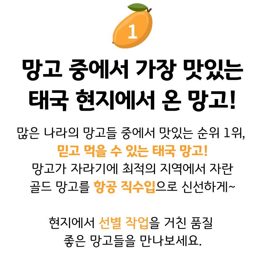 골드-망고-005.jpg