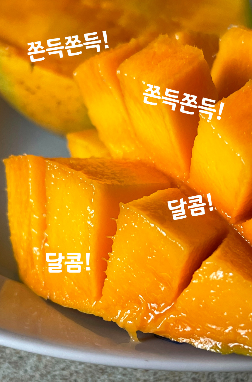 골드-망고-008.jpg