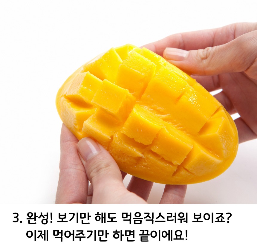 골드-망고-010.jpg