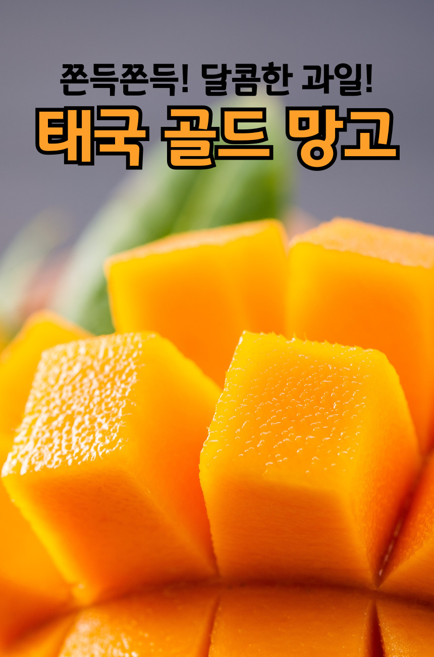 골드-망고-001.jpg