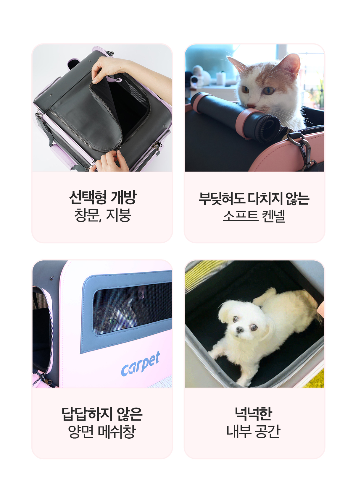편안함.jpg