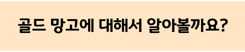 20240410_230521.png
