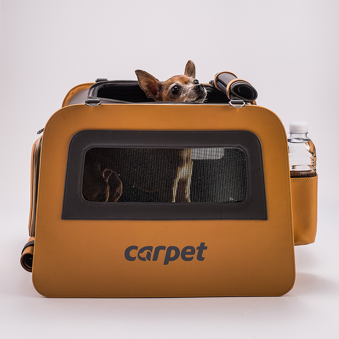 CARPET_Bag_우리강쥐님.jpg
