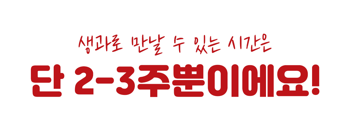 대제목10.jpg