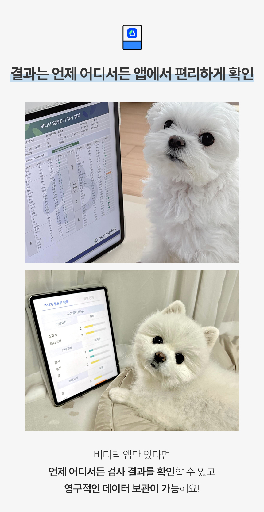 (수정)버디닥-와디즈-상세페이지_03_05.jpg