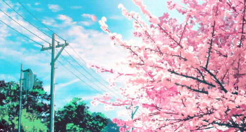 11.gif