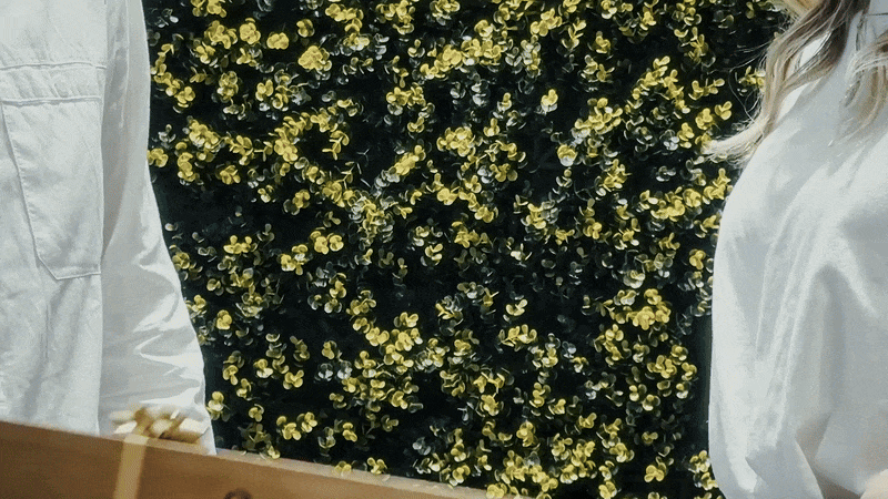 선물용.gif