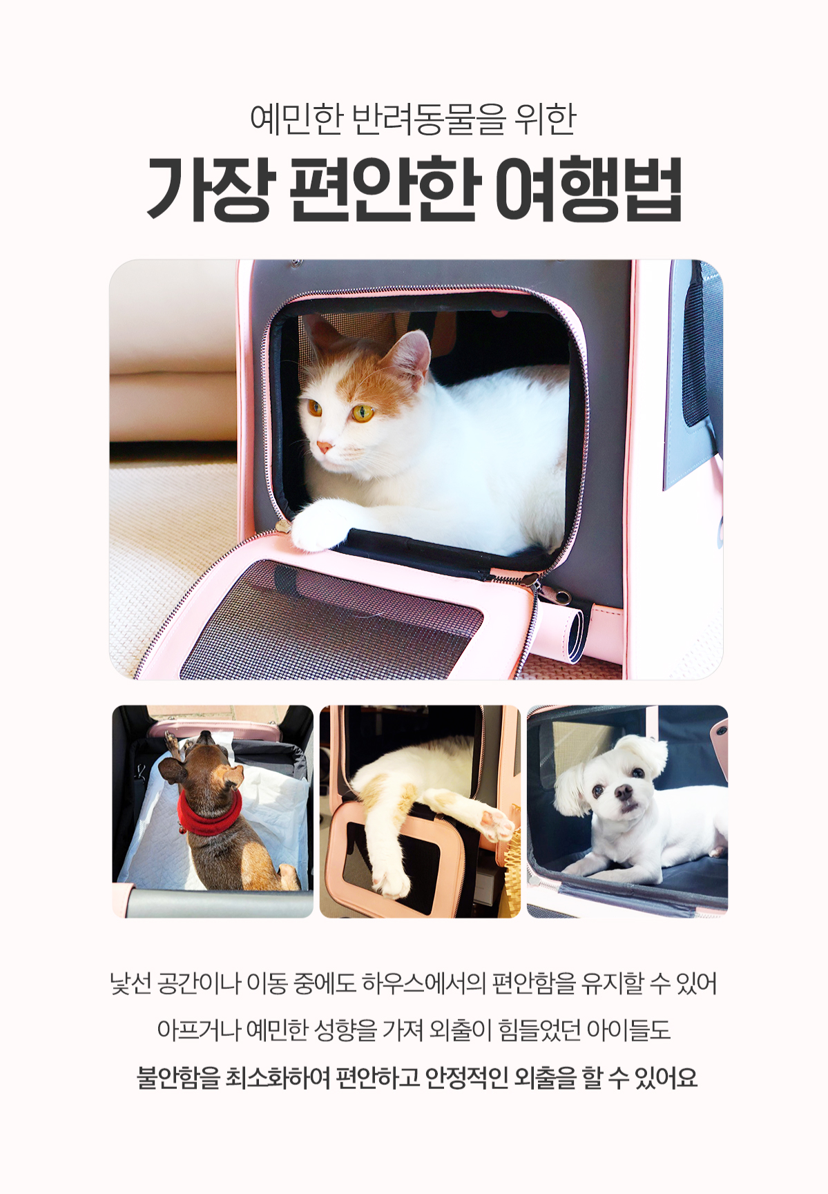 22-35_ㅇ.jpg