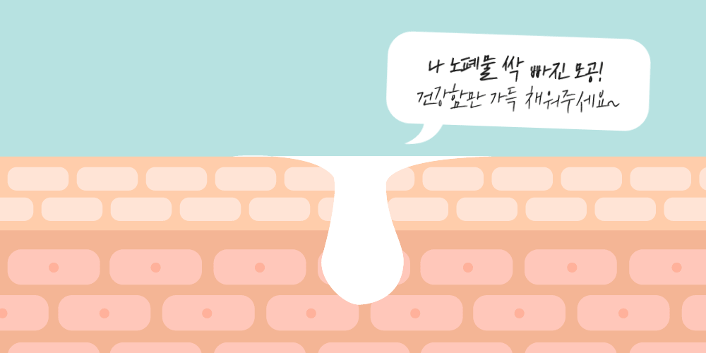 58(GIF).gif