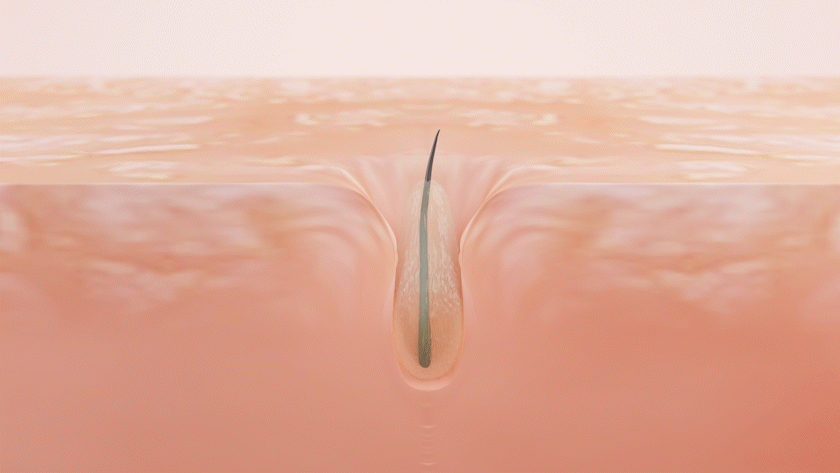 8.gif