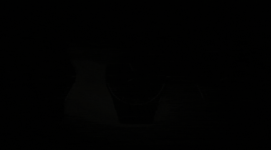 01_2.gif