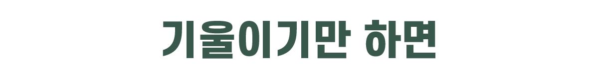 대지 56 사본 2.jpg