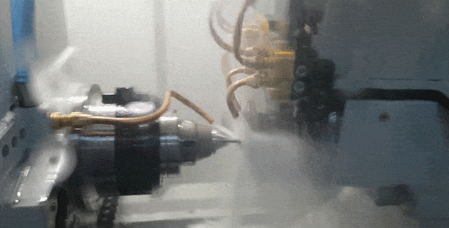16_2.gif