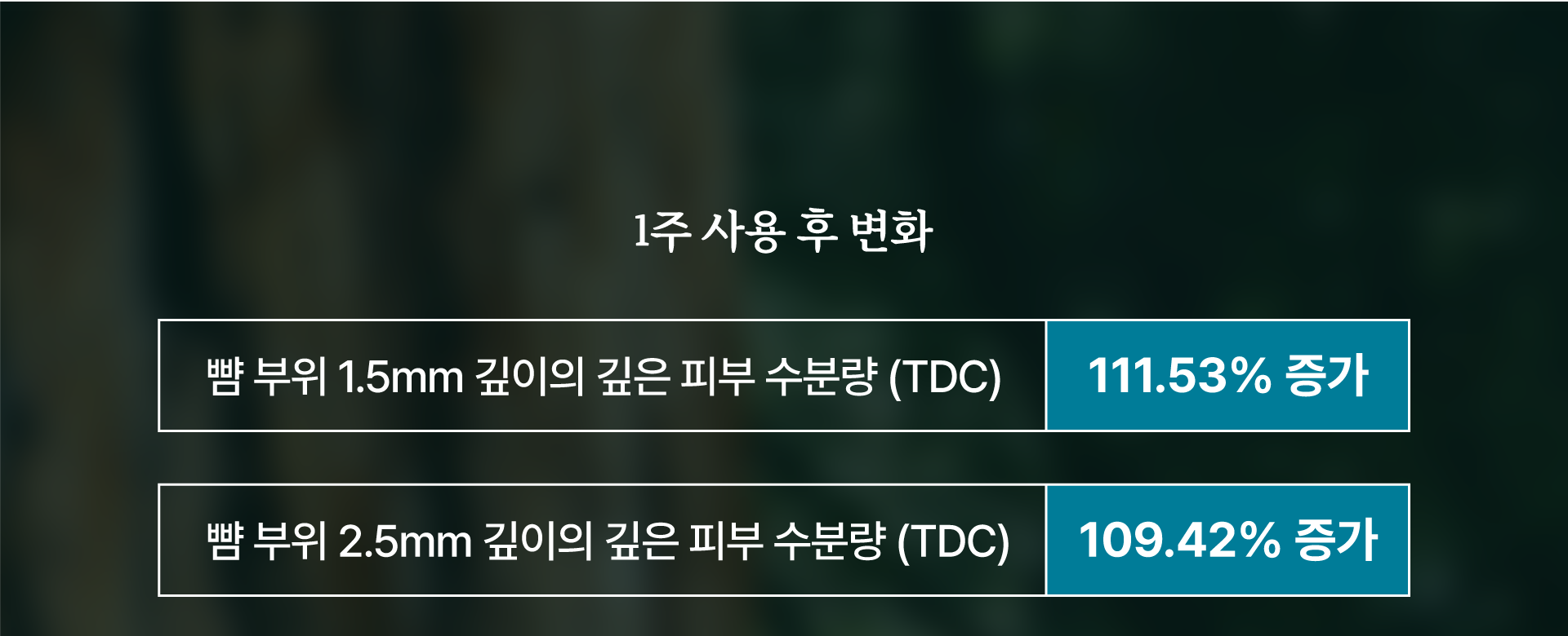 271541 수분 유지 화장품 직접수정(3).png