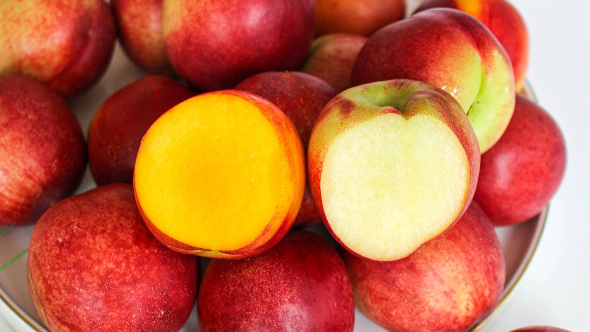 2종세트ㅣ일년 중 14일 수확! 달콤함의 신세계 한정판 신비&신선복숭아