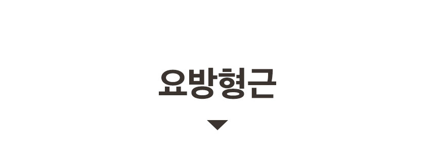이미지 설명이 없습니다.